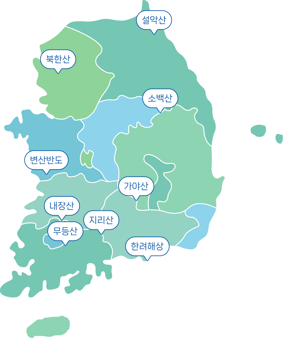 국립공원 등산 가기 전 꼭 챙겨야 할 필수 준비물 총정리