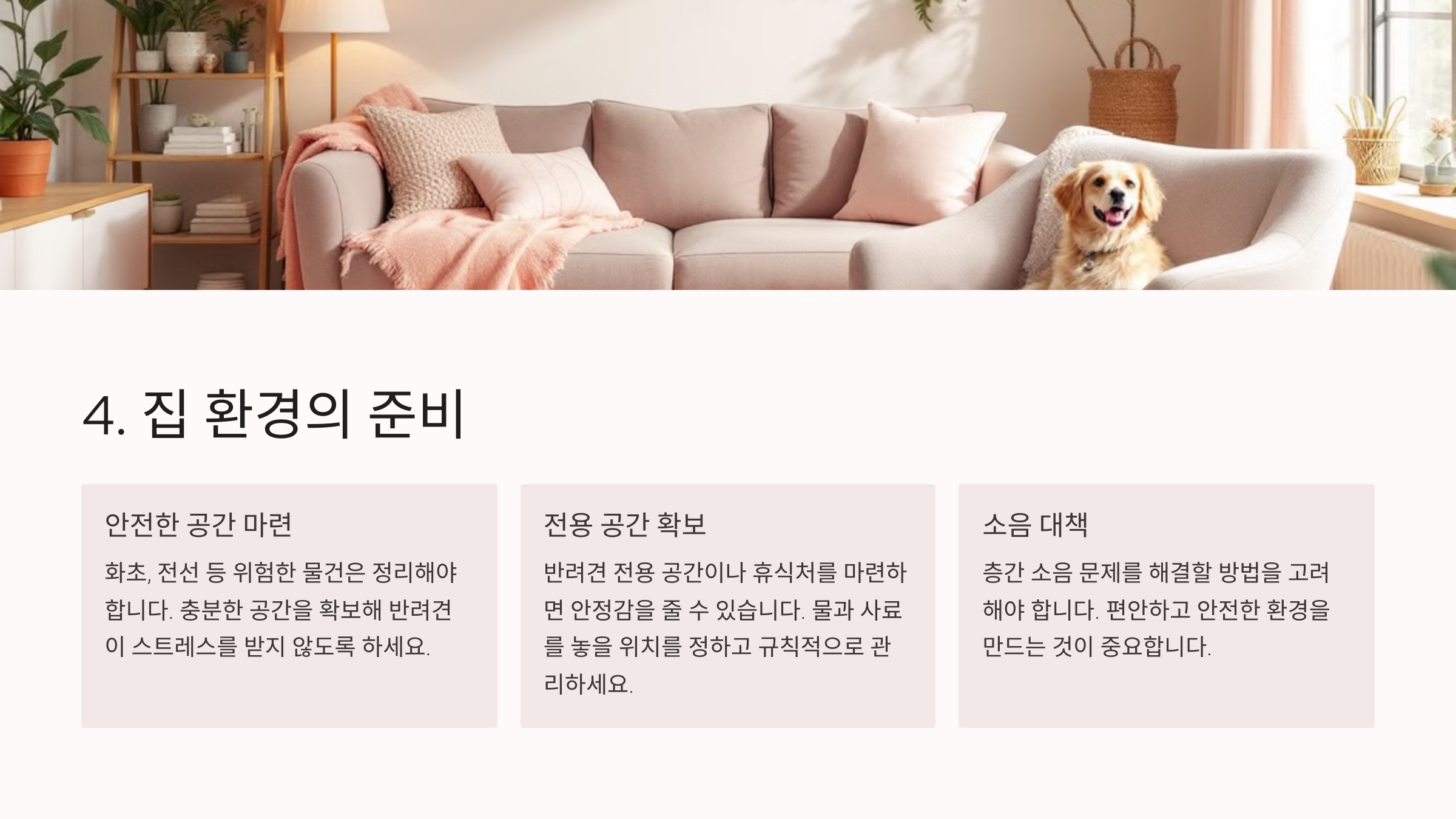 집 환경의 준비