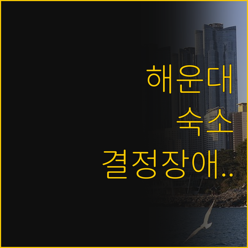 해운대 여행, 깔끔한 감성과 바다 전..