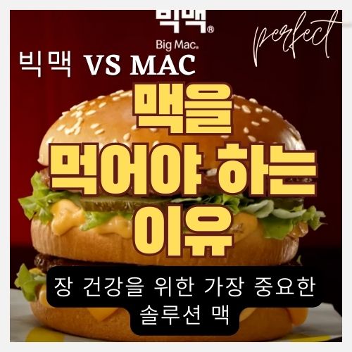 꼭 먹어야 하는 장 건강에 좋은 음식 7가지 - 대장, 설사, 복부팽만감, 변비, 장이 안 좋을 때 유산균 추천 썸네일