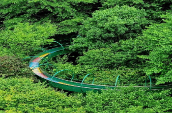 금산 삼계탕 축제 가는 길_2