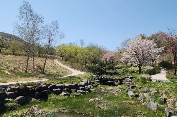 풍경-꽃-나무-연못