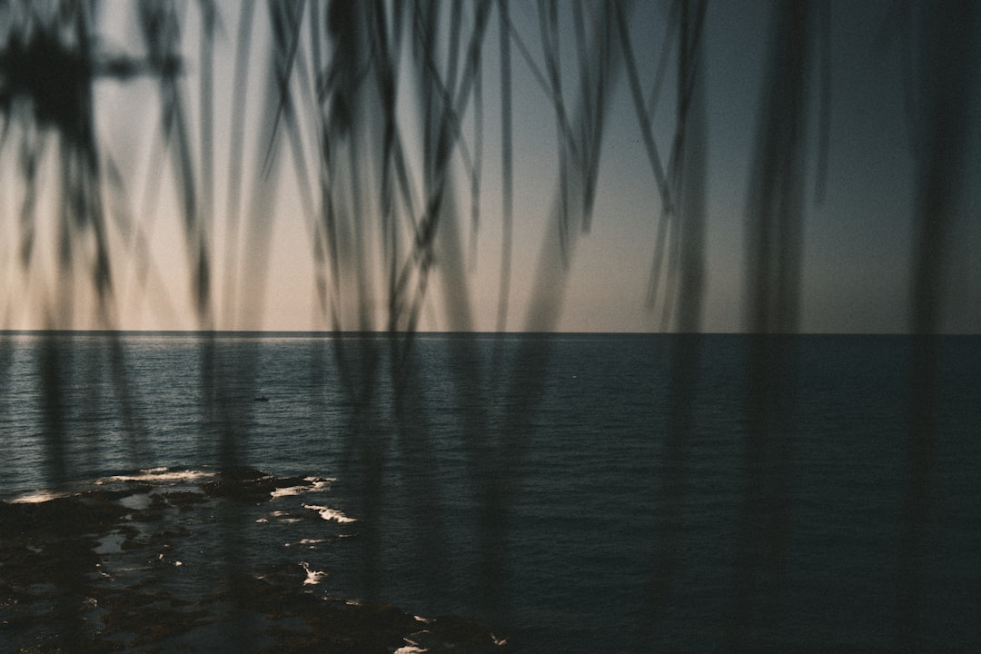 Naminara.