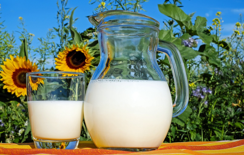 우유를 마시면 키가 더 큰다? - 성장과 칼슘 섭취의 실제 효과