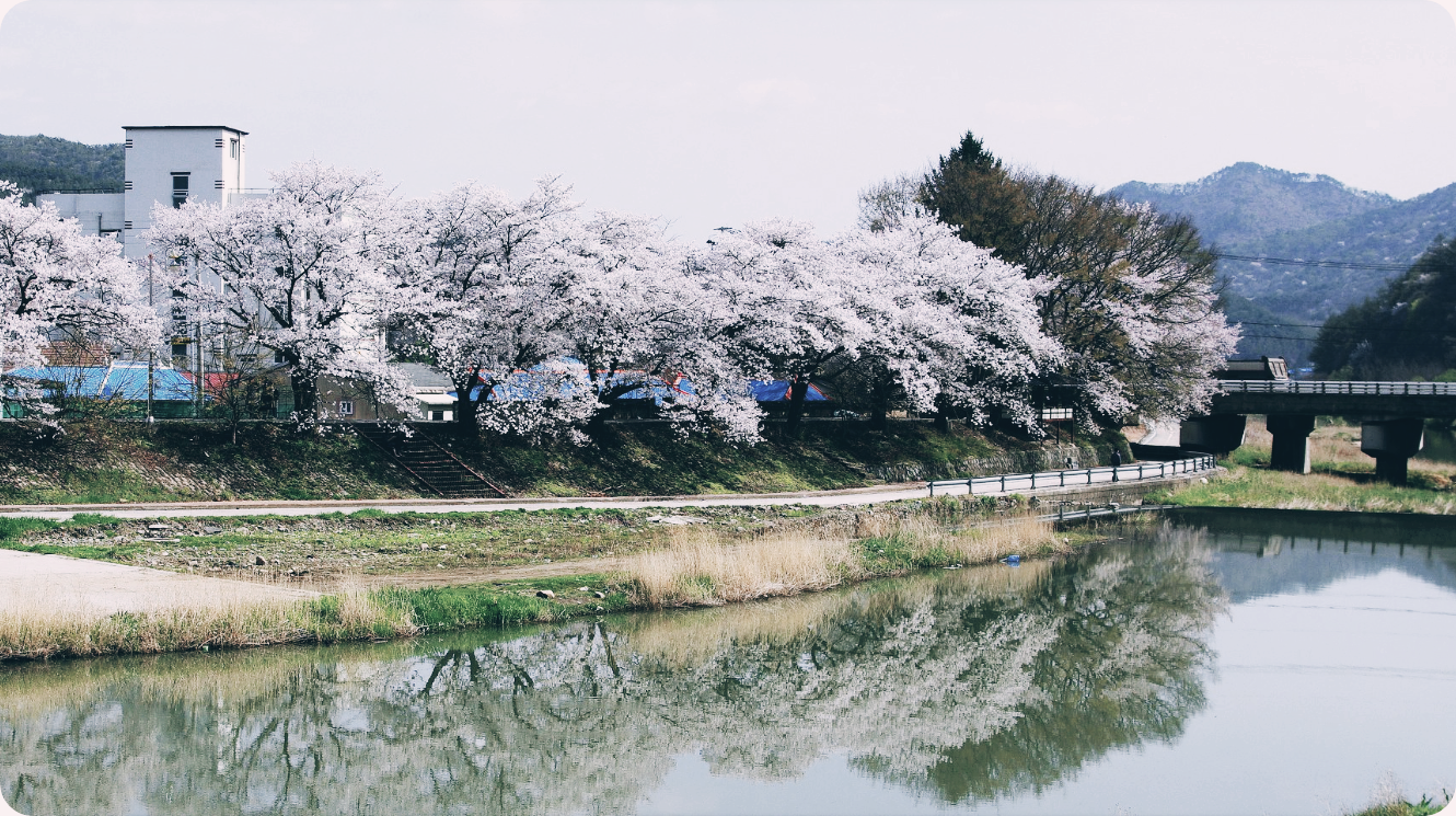 어쩌다마주친그대 미원천