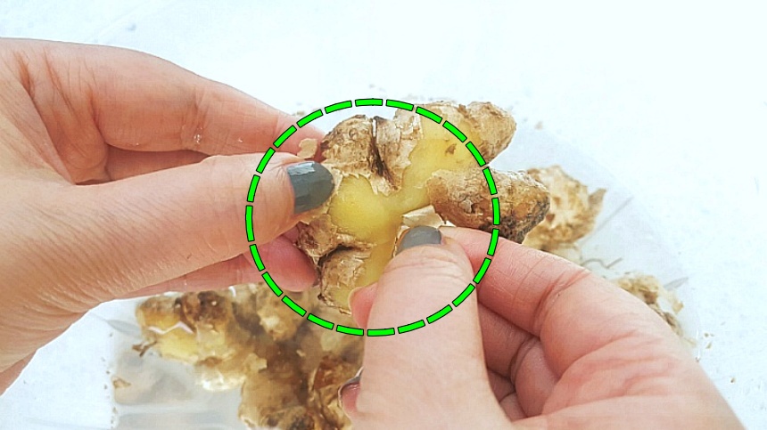 생강껍질-쉽게-벗기는법