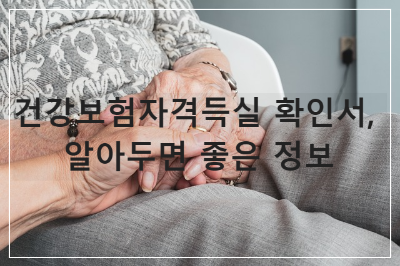 건강보험자격득실 확인서