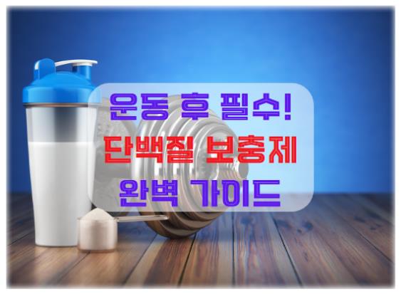 운동 후 필수! 단백질 보충제 완벽 가이드