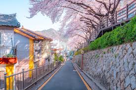 부산 달맞이길 벚꽃 드라이브 코스