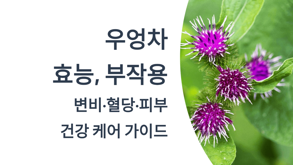 우엉차 효능 부작용 총정리: 변비&middot;혈당&middot;피부 건강 케어 가이드