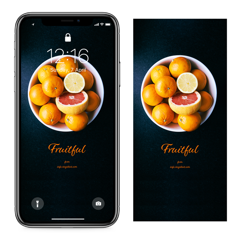 15 그릇에 담긴 오렌지 C - Fruitful 아이폰주황색배경화면