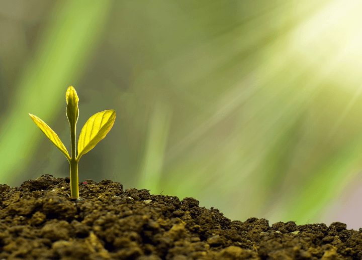 성공은 자신을 이긴 순간에 시작된다.