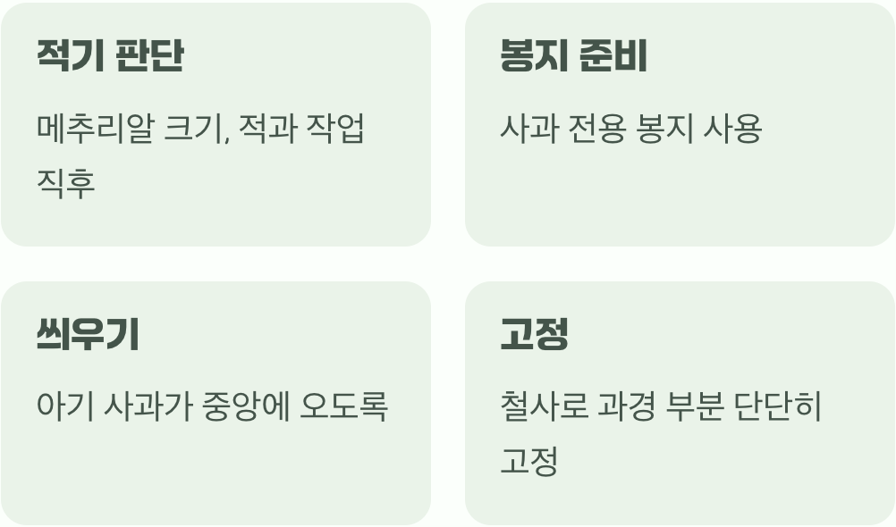 봉지를 씌우는 최적의 시점과 방법