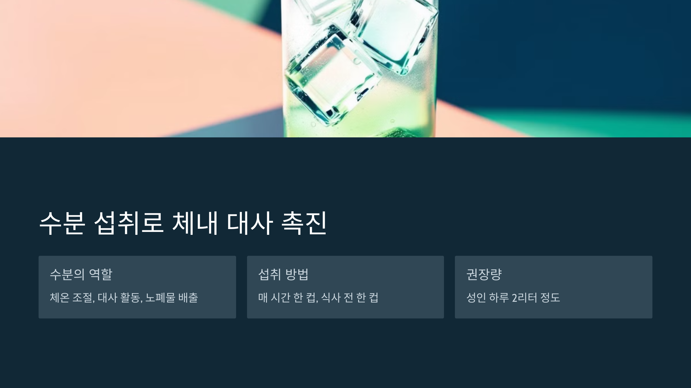 수분 섭취로 체내 대사 촉진하기