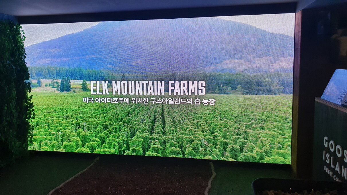 구스아일랜드-17