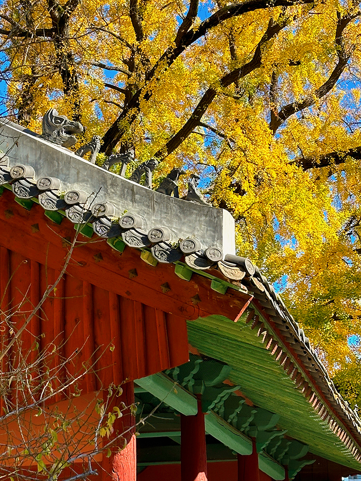 신삼문