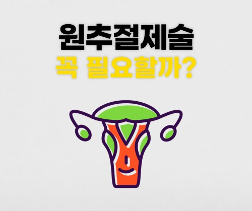 원추절제술 자궁경부 수술 종류 수술 후 관리 임신
