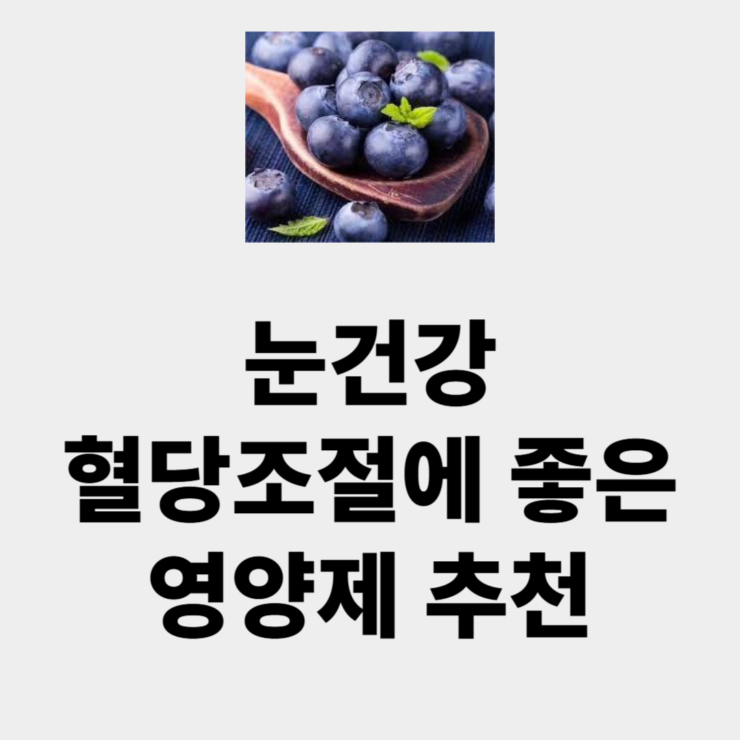 눈건강 혈당조절 혈관 건강에 좋은 영양제 빌베리