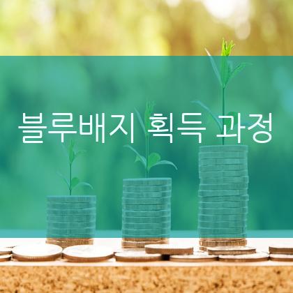 인스타그램 블루뱃지, 획득은 이제 시작이다!