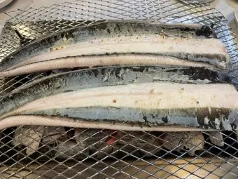 민물장어 가격 효능 민물장어 바다장어 차이 종류_17