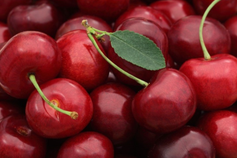 타트체리 부작용 효능