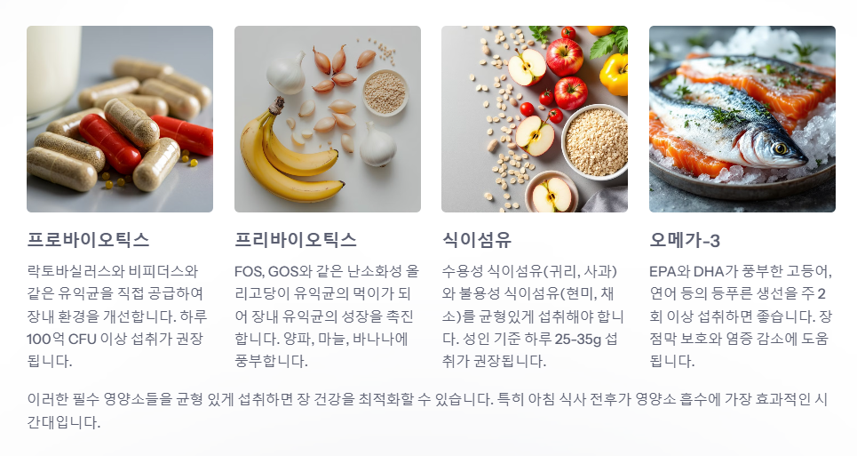 장건강을 위한 필수 영양소