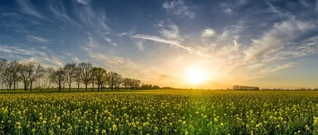 가평 자라섬 꽃축제, 자라섬 꽃 페스타 날짜, 요금, 프로그램, 유래 정보