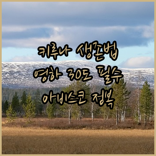 스웨덴 키루나 여행 방한 준비물과 아..