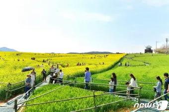 고창 청보리밭 축제 방문자 혜택_19