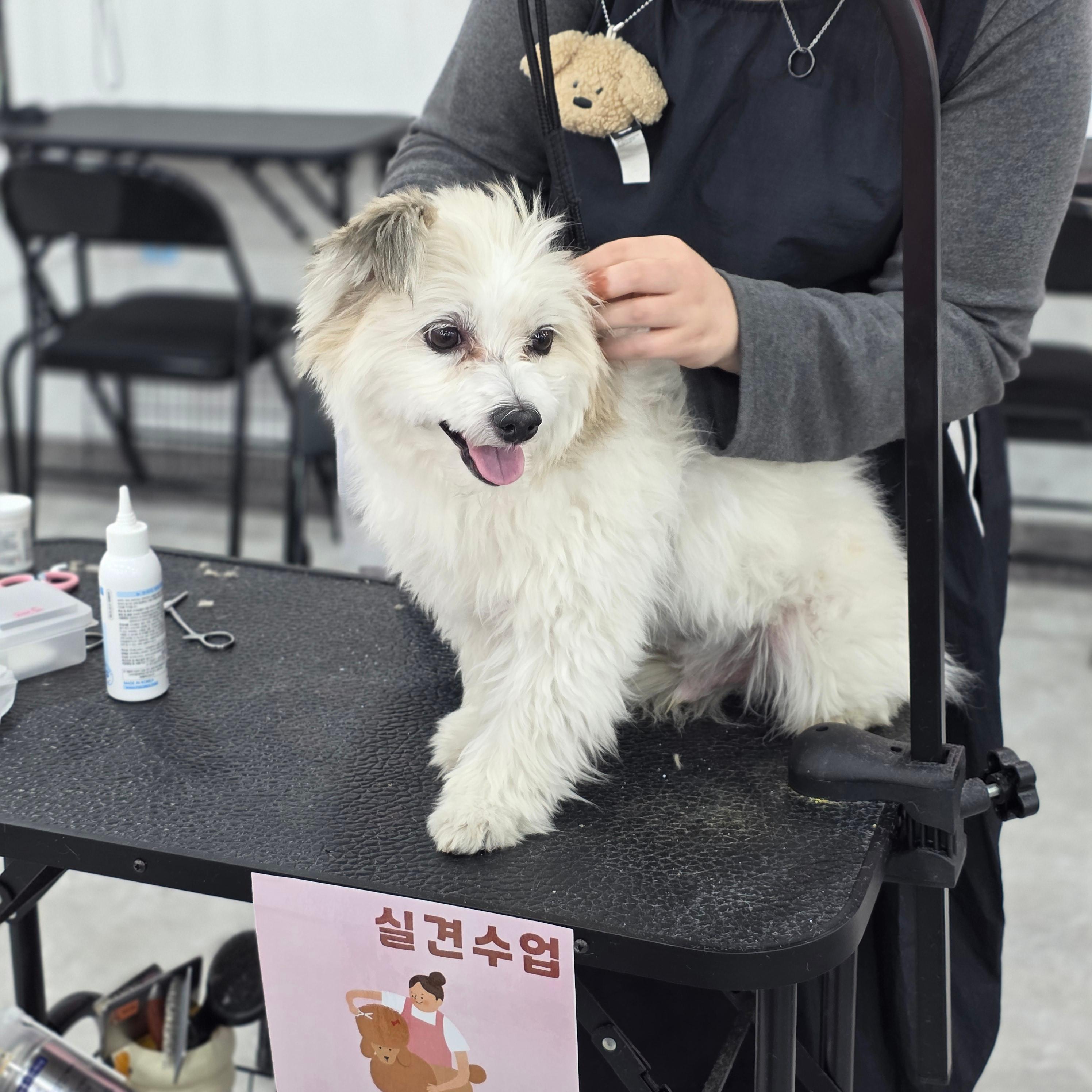 취업과 창업 연계까지 가능한 특별지원