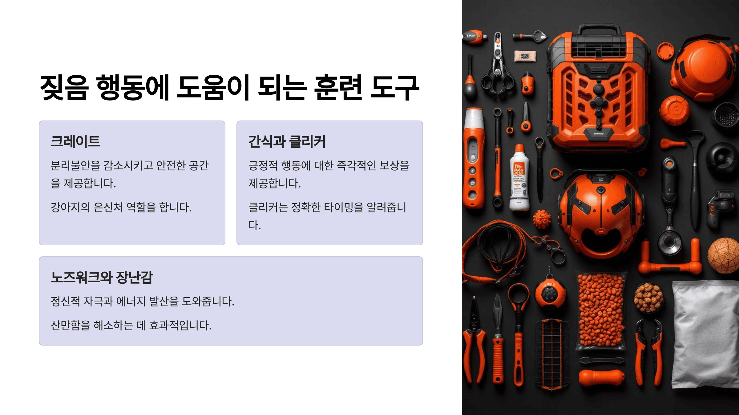 짖음 행동에 도움이 되는 훈련 도구