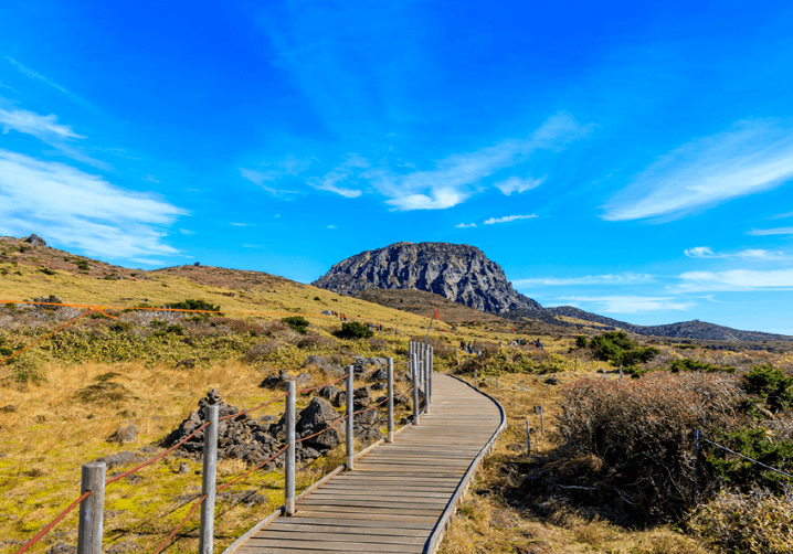 제주도 비행기 결항시 대처 방법 (실제 후기)