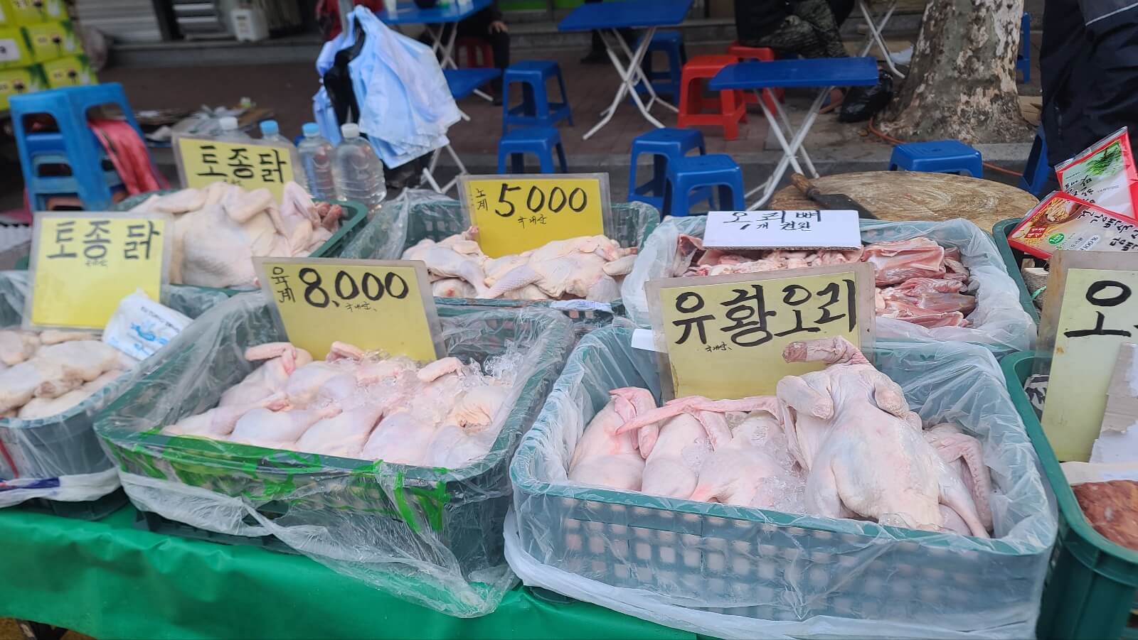 오리