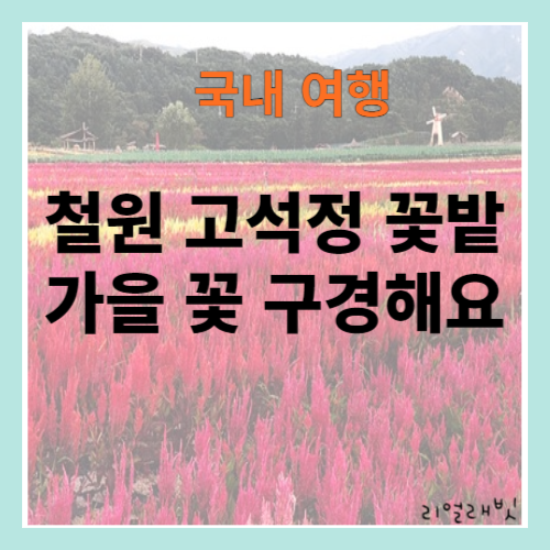 고석정꽃밭-썸네일