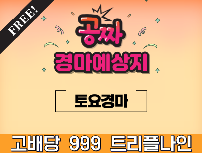 트리플나인 마사일호 경마 예상지 금요경마 토요경마 일요경마 고배당 삼복승 무료예상 무료마번 대박적중