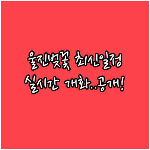 2026 울진 벚꽃 축제 일정과 실시..