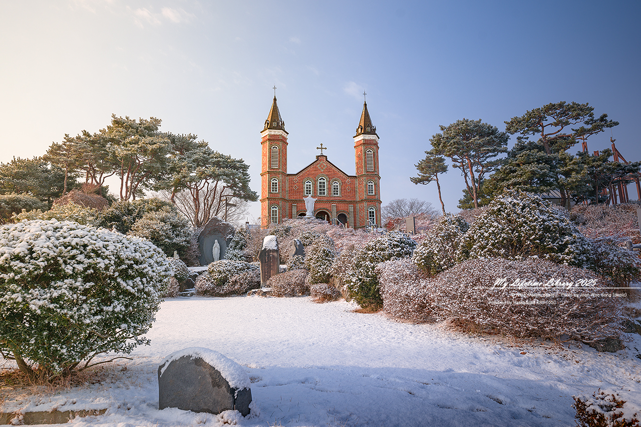 당진 합덕성당 가톨릭 성당 눈