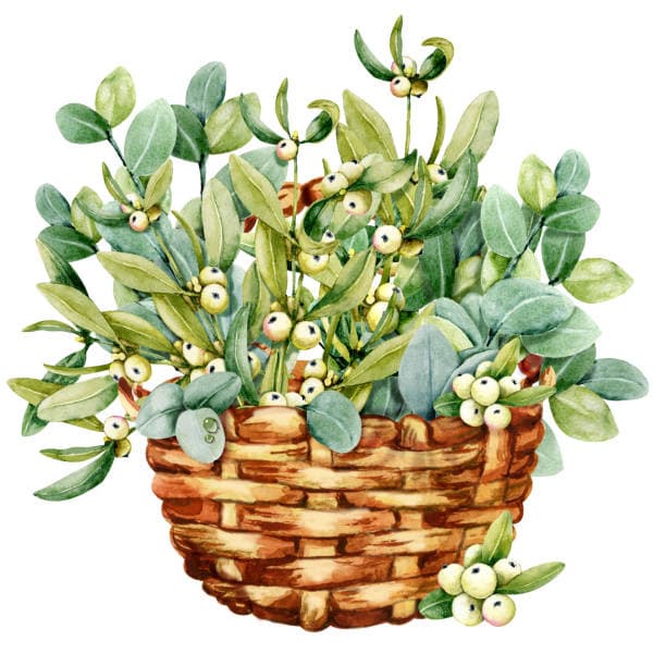 소금, 설탕, 기름: 어떤 것이 건강에 더 유익할까?