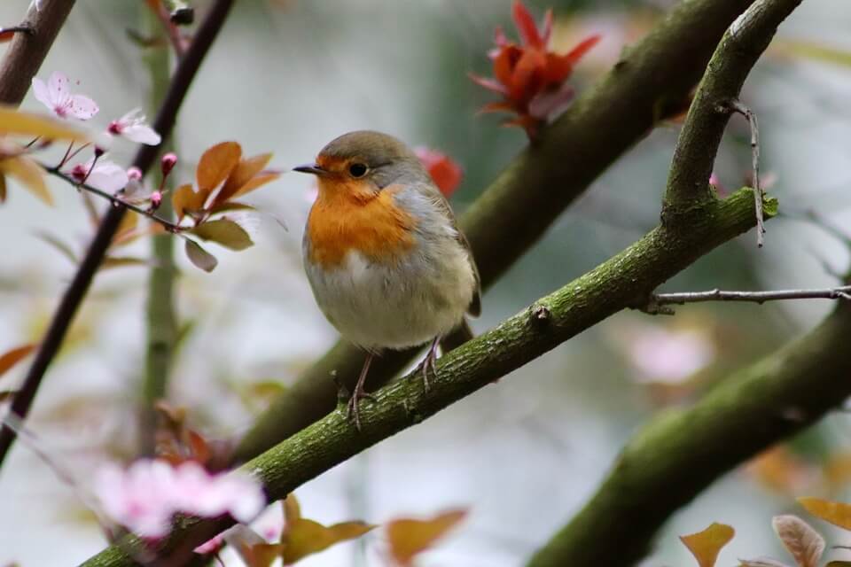 CBT와 DBT의 차이점 – 실제 적용 예시와 비교