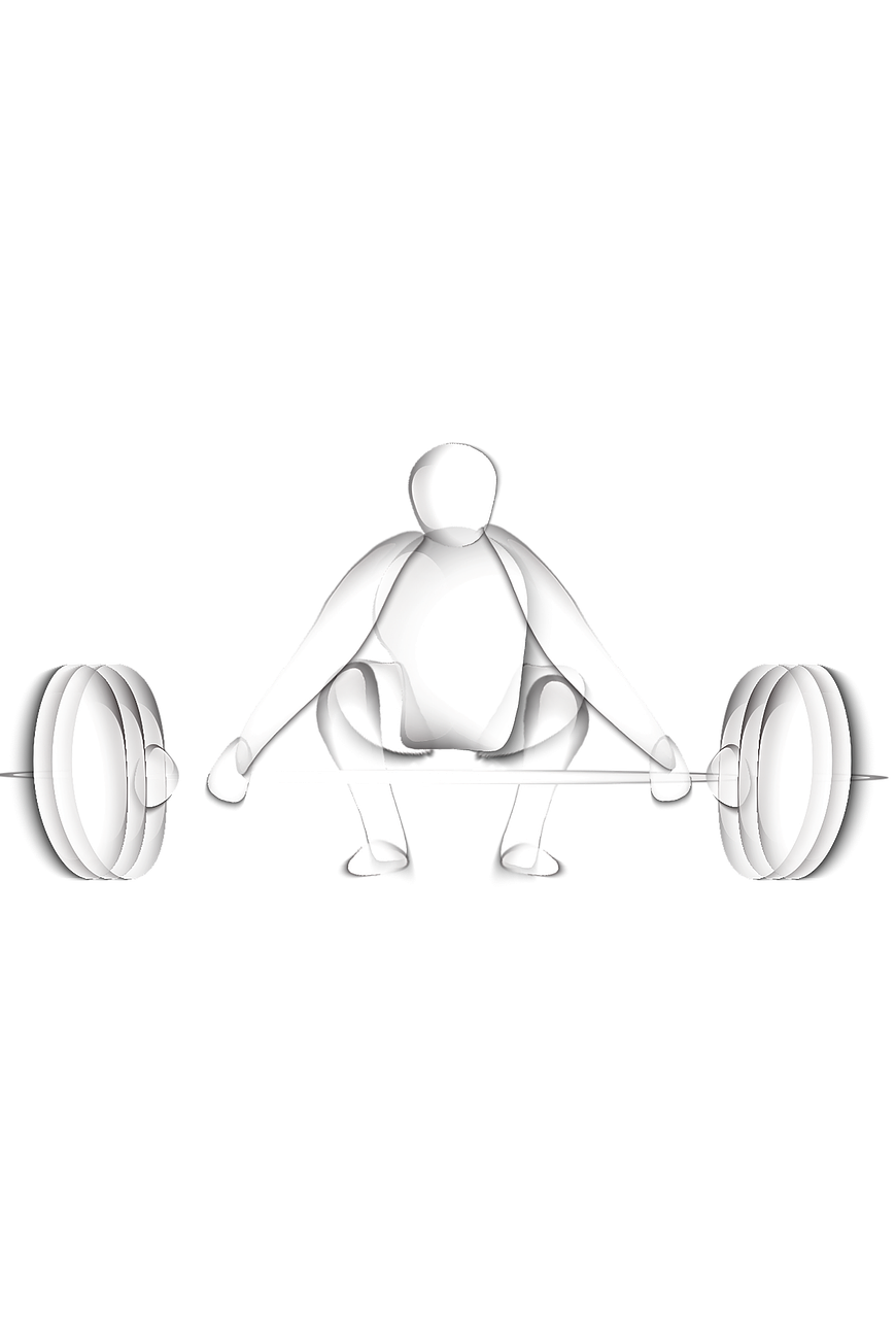 데드리프트 그림