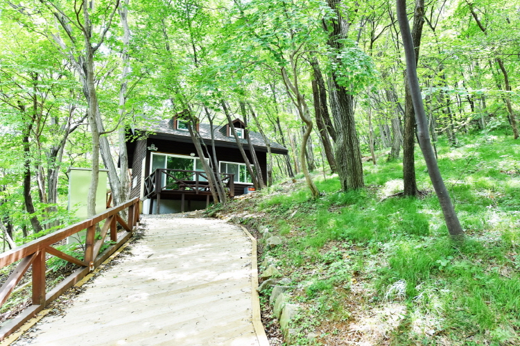 거제 자연휴양림