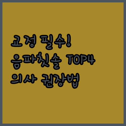 교정용 음파 전동칫솔 추천 TOP 4..