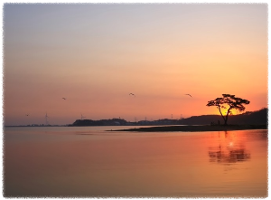 개미허리아치교