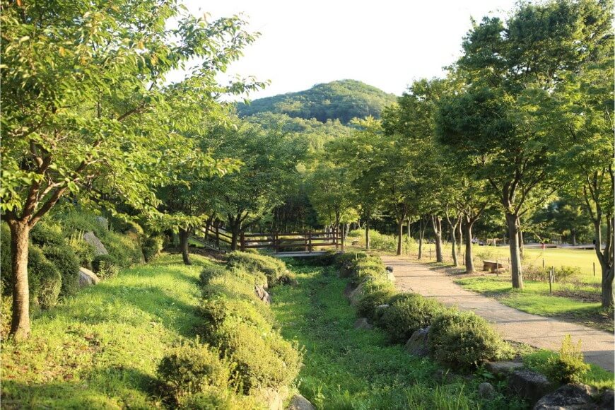 용인지연휴양림사진