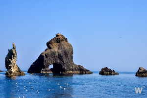 울릉도 관광안내 2