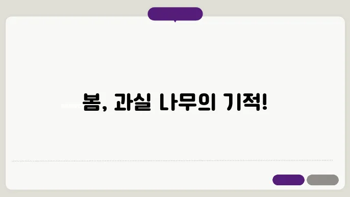 과실 식물 봄 준비 건강한 생장을 위한 3가지 팁