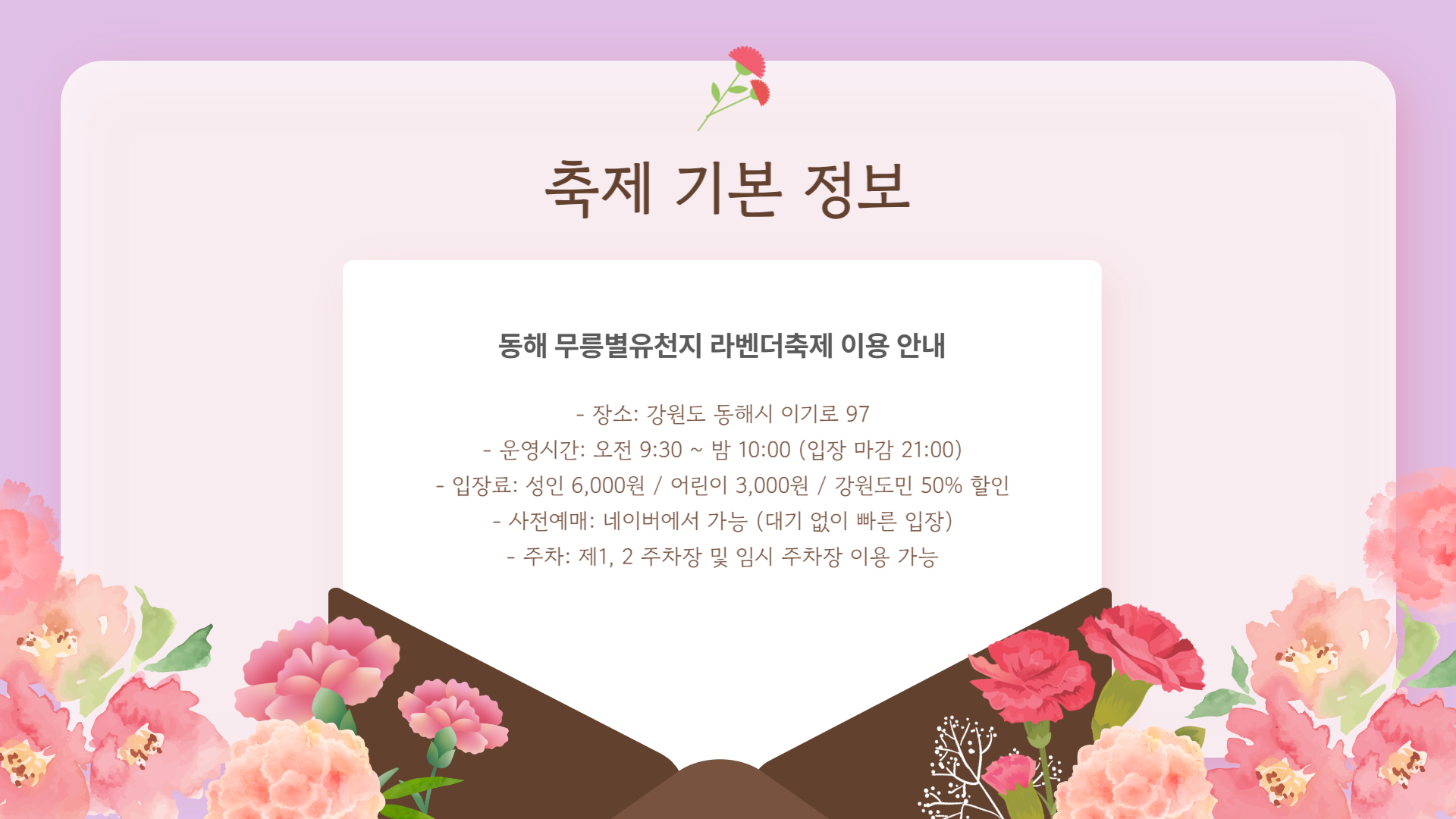 동해 무릉별유천지 라벤더축제