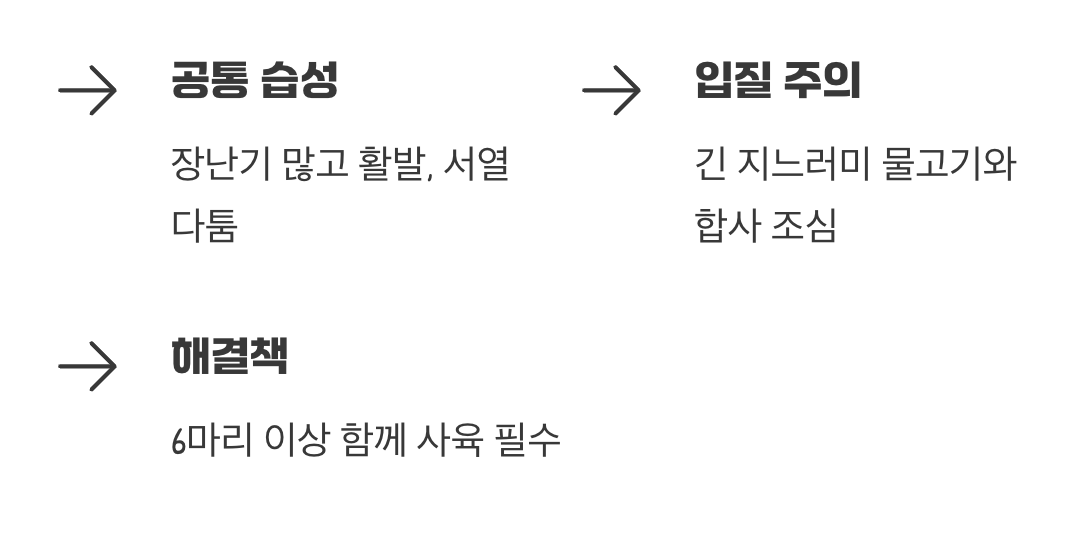 옷은 달라도 성격은 하나!