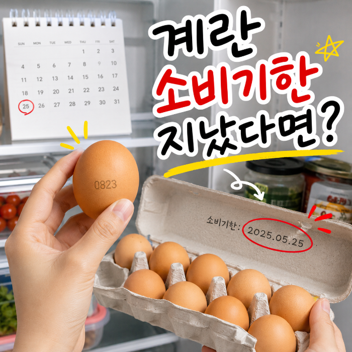 계란 소비기한이 지났을 때 냉장보관 상태와 달걀 산란일자를 확인하는 이미지