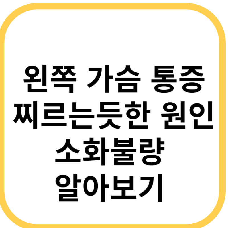 왼쪽 가슴 통증 찌르는듯한 원인 소화불량